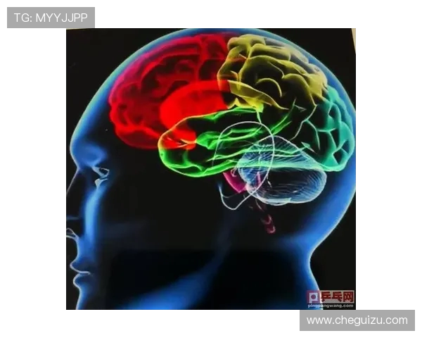 杭州乒乓球队战术解析与控制体系探讨的全面研究