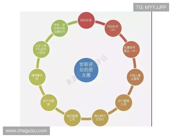 重庆排球队的运营揭秘与深度分析探讨排球运动的未来发展之路
